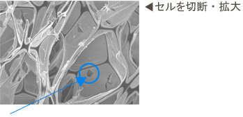 セルを切断・拡大