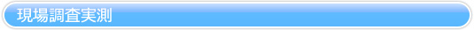 現場調査実測